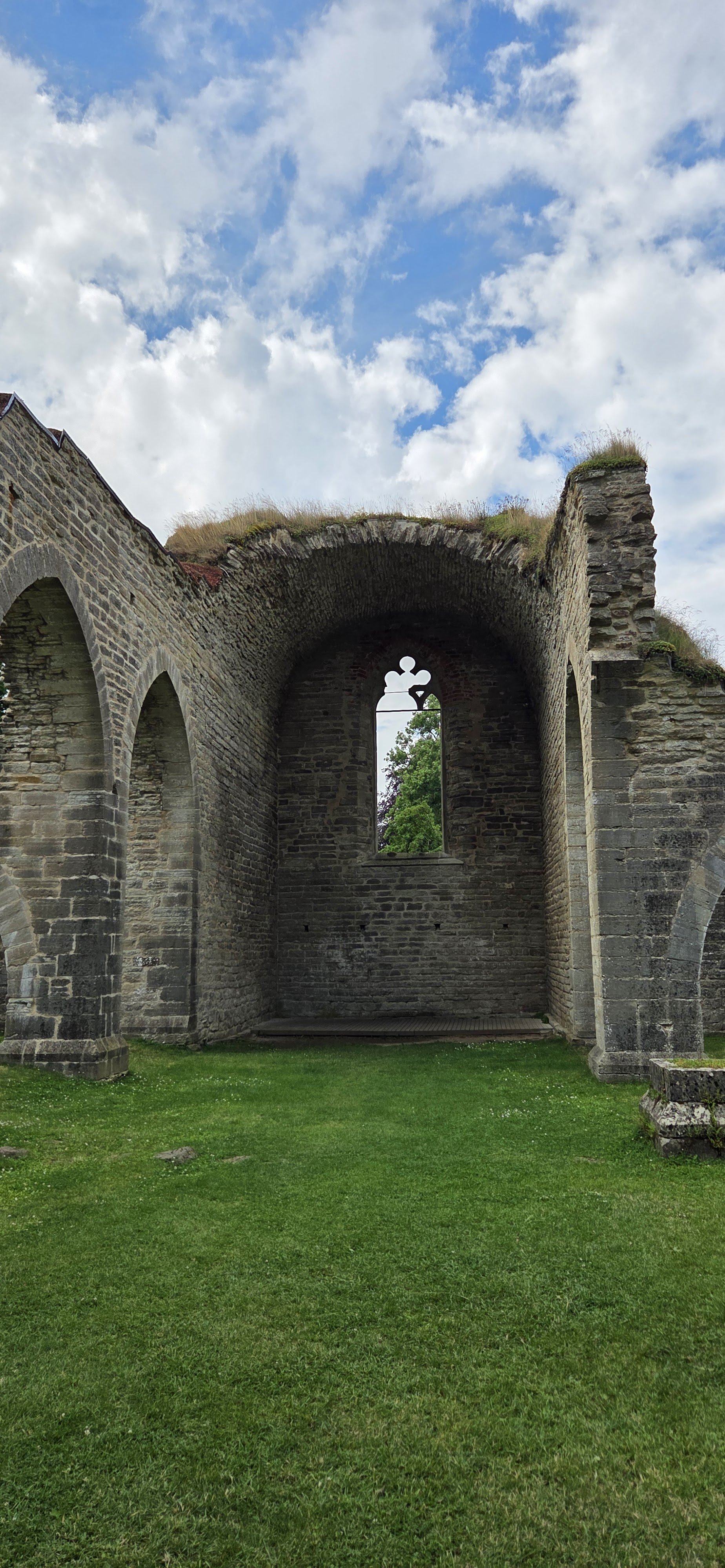 Alvastra Monastery (Alvastra klosterruin)